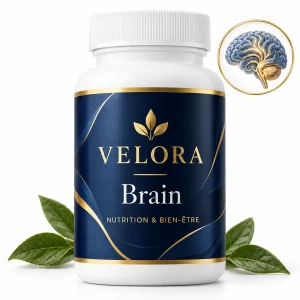 Velora Brain — médaillon illustrant le thème : cerveau