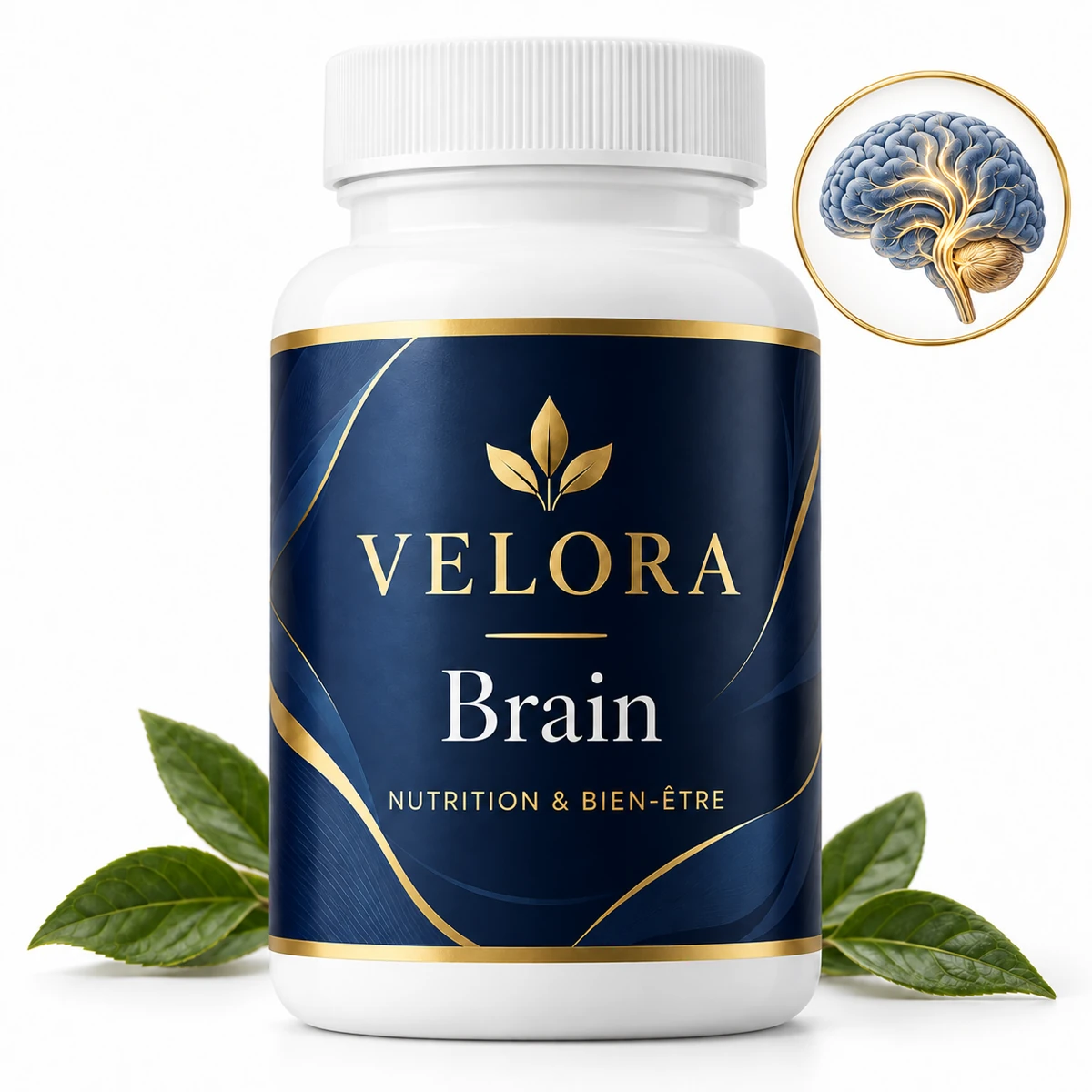 Velora Brain — médaillon illustrant le thème : cerveau